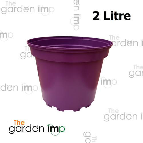 Coloured plastic plant - 20,
