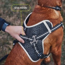 3 Peaks X-Trail  Dog Harness