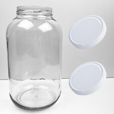 4.25 Litre Glass Jar & Twist