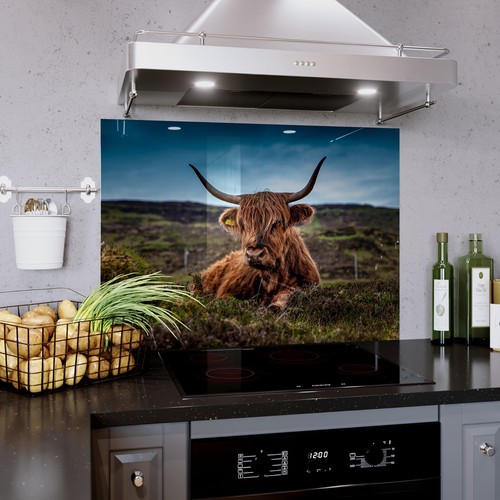 Kitchen glass splashback - kitchen,