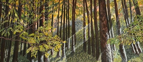 Fascination with sunlight