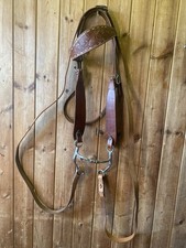Tan western bridle - western, with