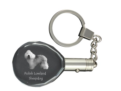 Polish lowland sheepdog pon - polish,