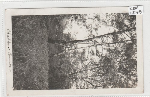 1907 chislehurst kent the - 1907,