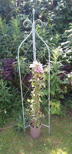 Obelisk plant support - obelisk,