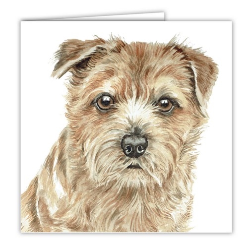 Norfolk terrier greetings - greetings, card