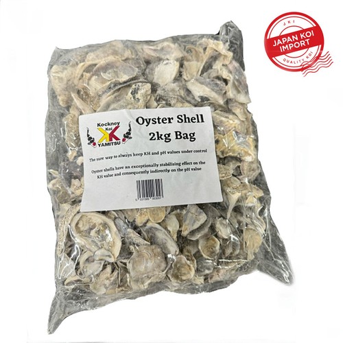 Kockney koi oyster shells - koi,