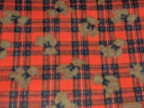Teddy bear red plaid fleece - teddy,