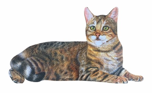 Ginger tabby cat plaque - tabby,