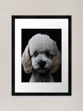 cute little puppy poodle