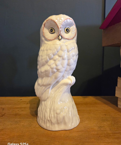 Donegal parian china white - white, owl
