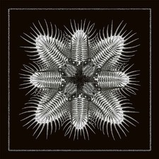 V.A. - 10 (Vinyl 2LP - 2026 -