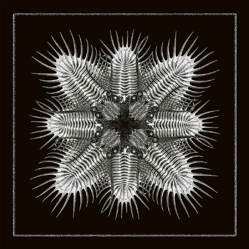 Vinyl 2lp 2026 - v.a., (vinyl