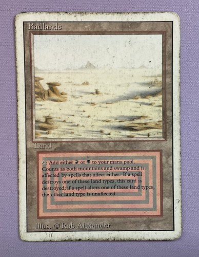 Magic the gathering mtg - the,