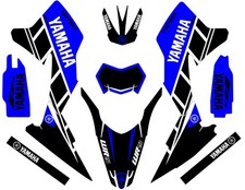 Graphics for a Yamaha  WR250r