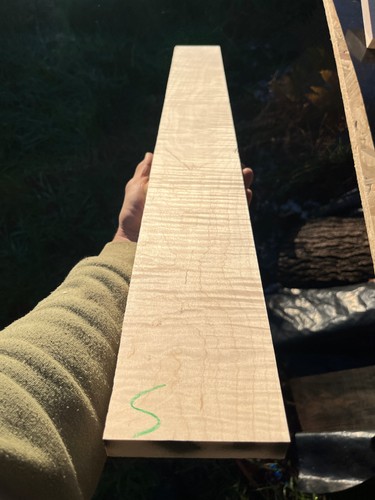 Curly tiger stripe maple - tiger,