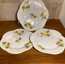 Vintage Shelley bone china tea