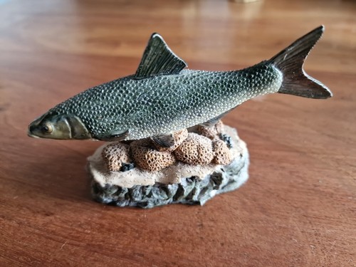 Asp the anglers showcase - the,