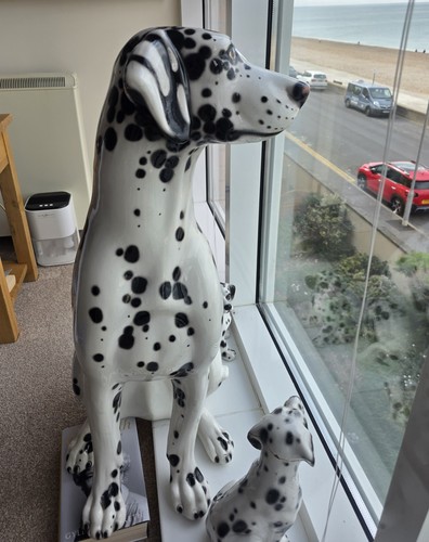 Stunning size porcelain - stunning,