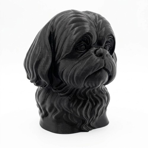 Shih tzu dog - tzu, decor