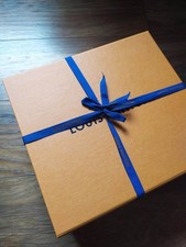 Louis Vuitton Magnetic