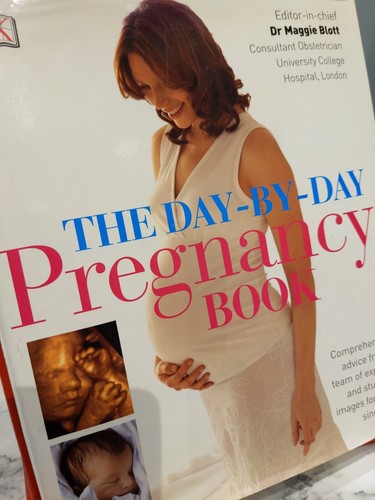 The day - day-by-day, pregnancy