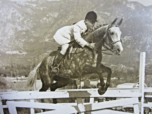 Vintage equestrian horse - vintage,