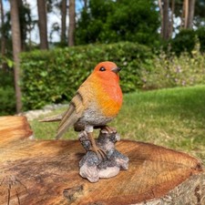 Robin tree stump - tree, garden