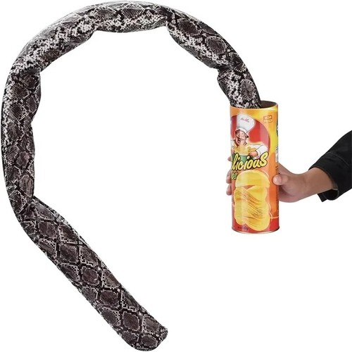 Snake surprise prank can - prank,