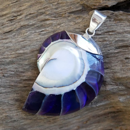 Purple nautilus shell pendant - purple,