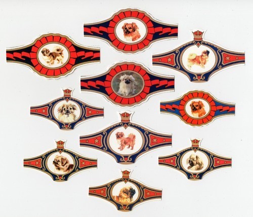 Tibetan spaniel collection - spaniel, of