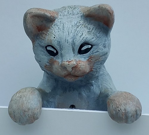 Cat climbing once sat - cat, a