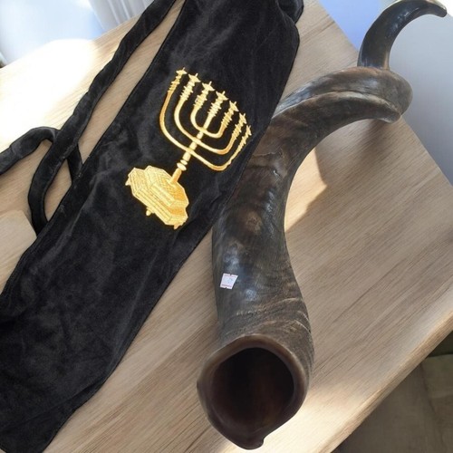 Kudu horn natural - horn, yemenite