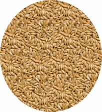 Plain canary seed 450g - canary,