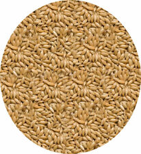 Plain Canary Seed 1.5kg Plain Canary For Canaries Small Birds Etc