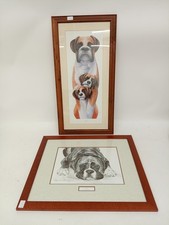 Boxer Dog Prints Pollyanna Pickering & Warwick Higgs Framed & Glazed