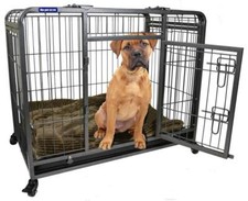 Pet store  Heavy Duty Dog