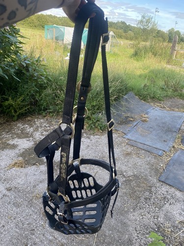 Greenguard grazing muzzle and - grazing,