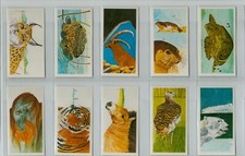 Brooke Bond. RE-ISSUE. A full