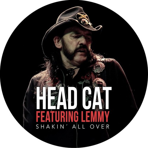 Head cat featuring lemmy - cat,