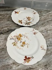 Antique Haviland Limoges 9.5