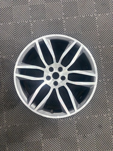 Genuine jaguar type - jaguar, 20"