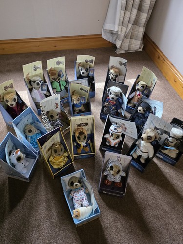Full set meerkats - full,