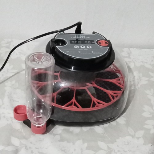 Eggs automatic egg - eggs,