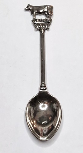Collectors tea spoon - collectors,