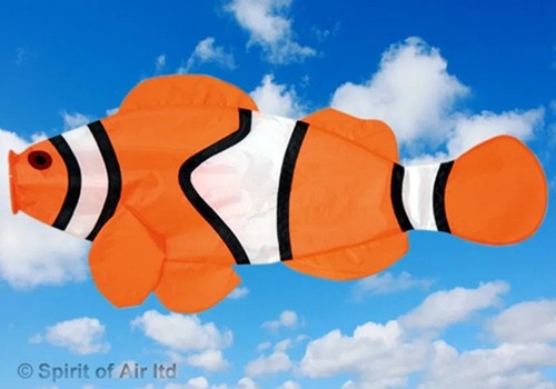 Spirit air clownfish - of,
