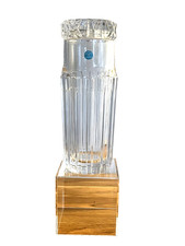 Tiffany & Co Atlas design 2