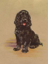 COCKER SPANIEL CHARMING DOG GREETINGS NOTE CARD BEAUTIFUL SITTING BLACK DOG