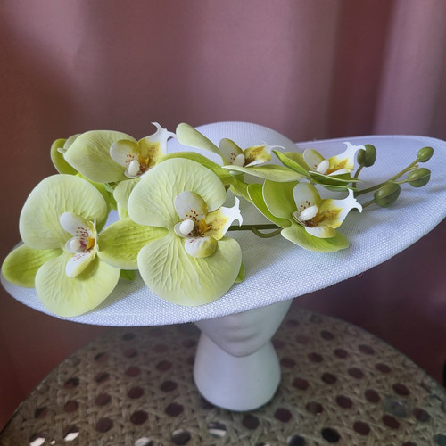 Women saucer round - saucer,