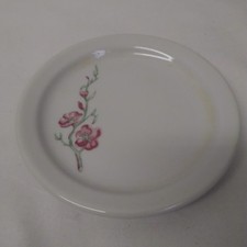 Shenango Restaurant China